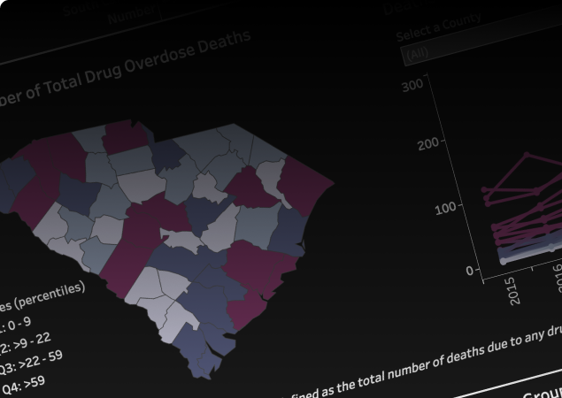 Data Dashboard Preview