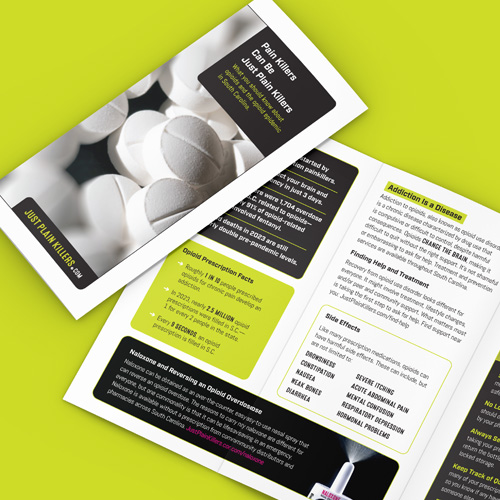 Just Plain Killers Brochure