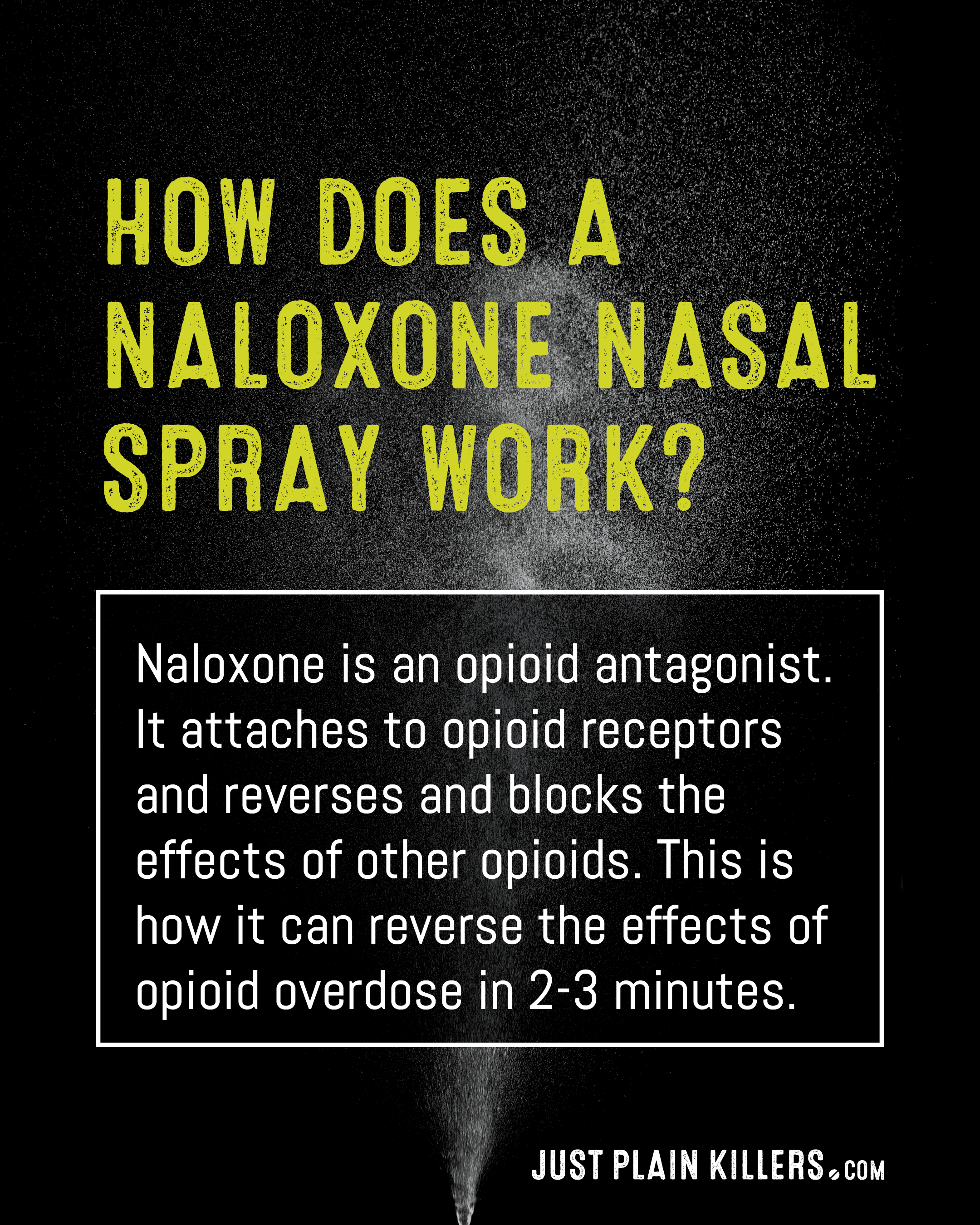 How Does Naloxone Work